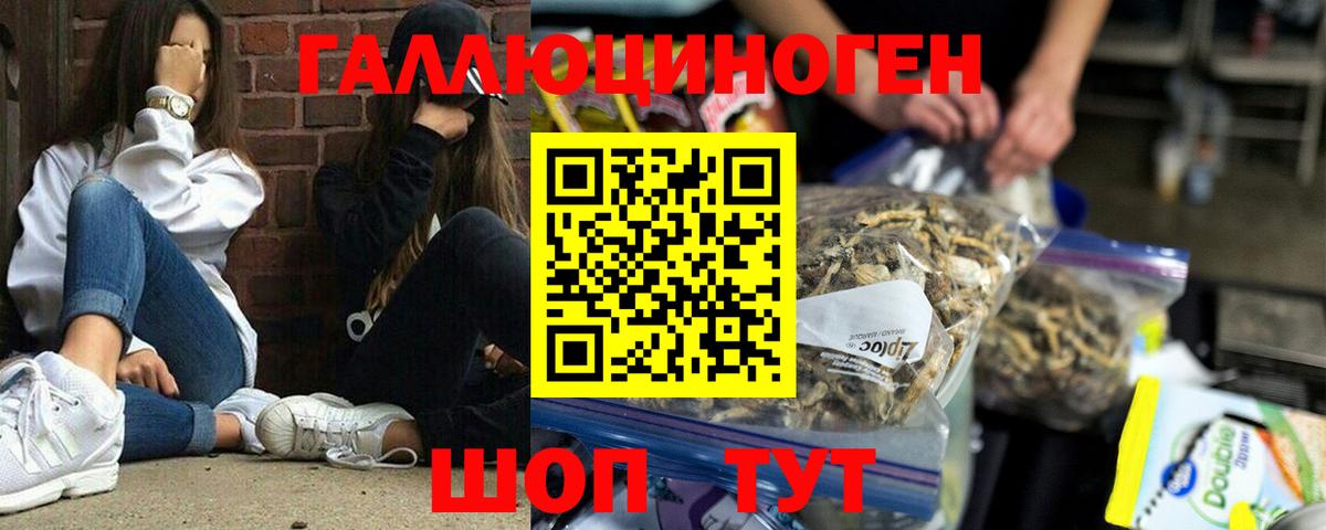 Галлюциногенные грибы Magic Shrooms Трёхгорный